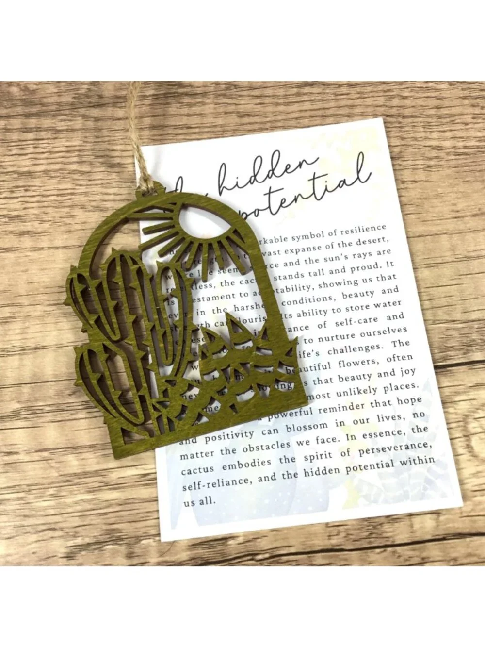 Handmade cactus story